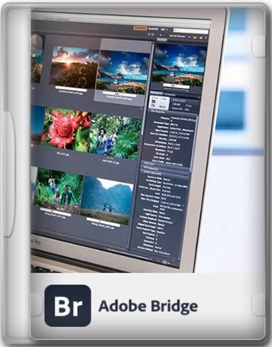 Adobe Bridge 2024 14.1.1.274 RePack by KpoJIuK