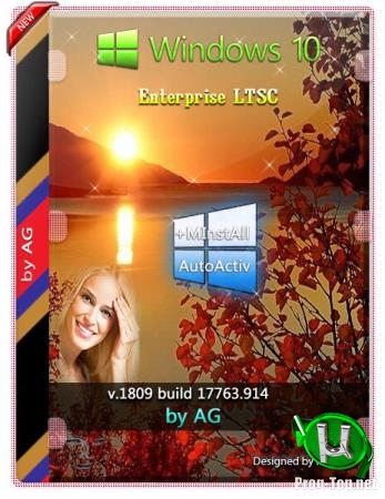 Windows 10 Enterprise LTSC WPI by AG 12.2019 17763.914