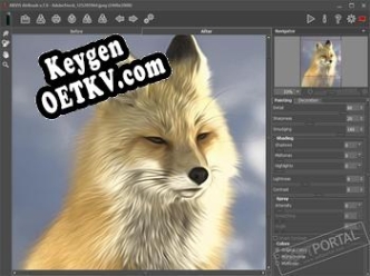 Бесплатный ключ для AKVIS AirBrush