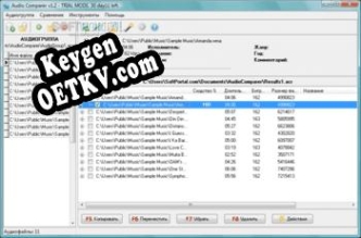Ключ активации для Audio Comparer