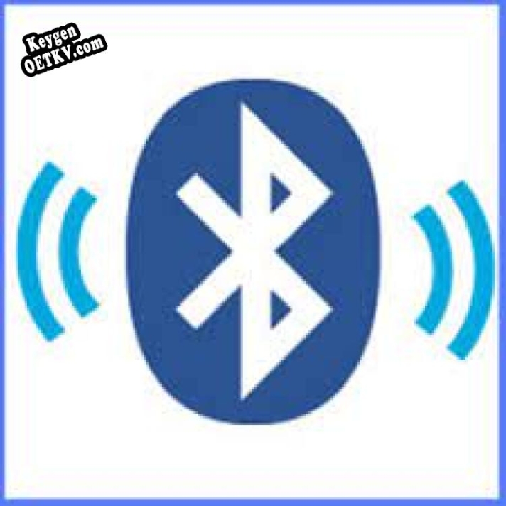 Регистрационный ключ к программе  BlueAuditor