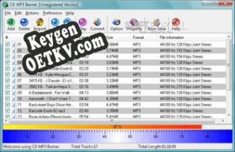 Ключ для CD MP3 Burner