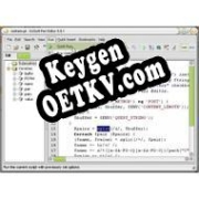 Генератор ключей (keygen)  DzSoft Perl Editor
