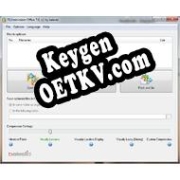 Регистрационный ключ к программе  FILEminimizer