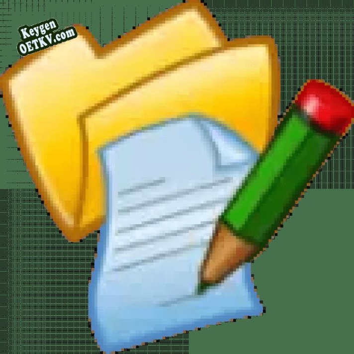 MIKLSOFT Professional Renamer ключ активации