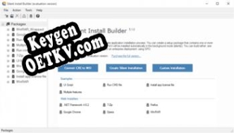 Silent Install Builder генератор серийного номера