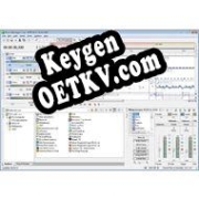 Бесплатный ключ для Sony ACID Music Studio
