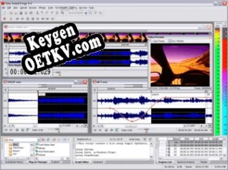 Sound Forge Pro ключ активации