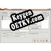 Регистрационный ключ к программе  Speed Video Converter