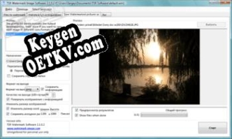 TSR Watermark Image ключ бесплатно