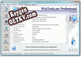 WinTools.net Professional Key генератор