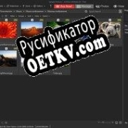 Русификатор для ACDSee Ultimate 2021