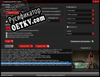 Русификатор для GoogleImageFinder