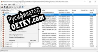 Русификатор для MZCookiesView