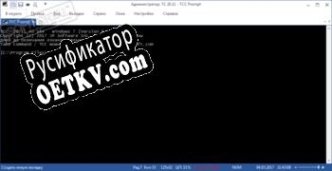 Русификатор для Take Command